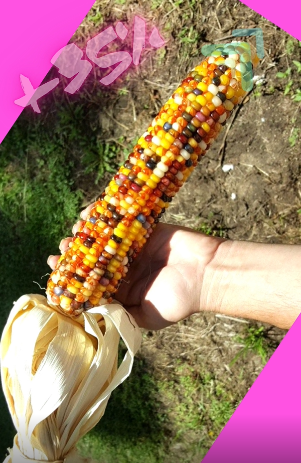 วิธีเพิ่มขนาดด้วยวิธีธรรมชาติได้ผล💯%